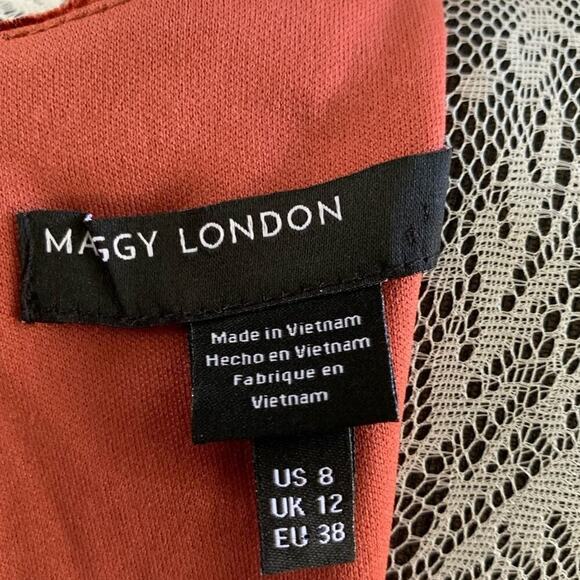 Maggy London NWT Dark Brick Crushed Velvet Velour Midi Dress Fairy Whimsigoth 8 - Picture 4 of 5